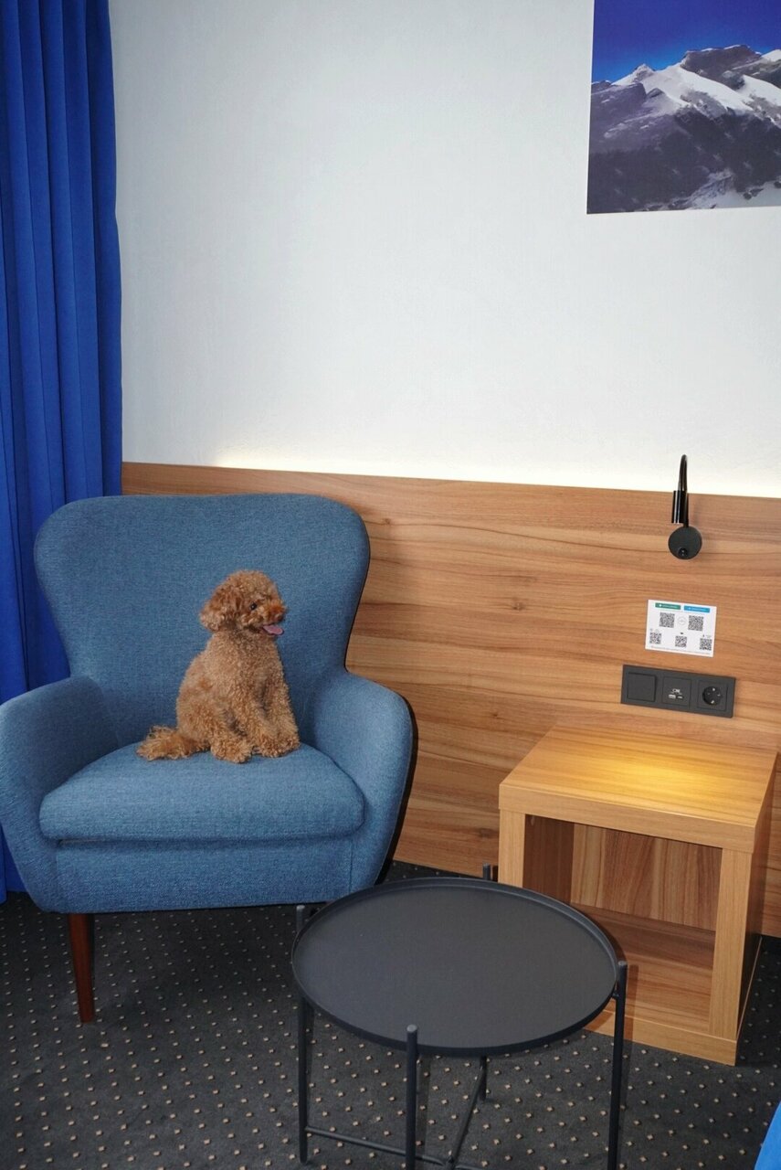 Гостиница Владыкино Москва-146