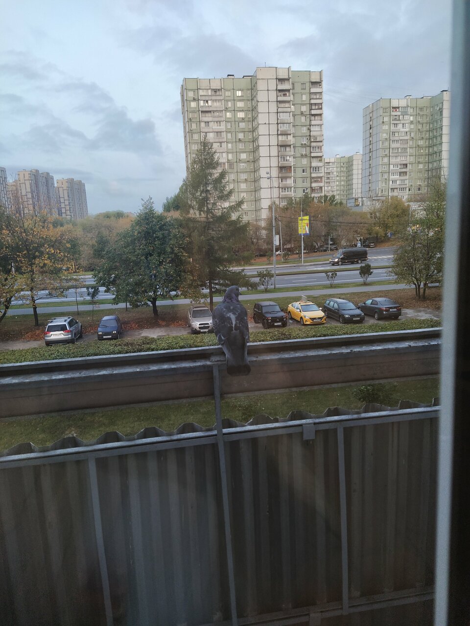 Гостиница Владыкино Москва-73