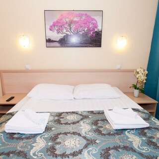 Гостиница Владыкино Москва Стандарт двухкомнатный Double (1 кровать)-5