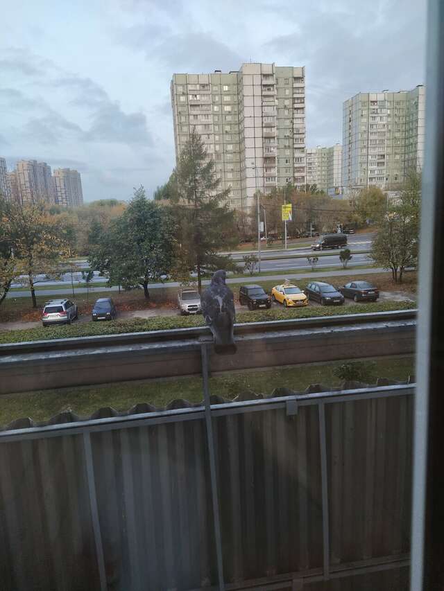 Гостиница Владыкино Москва-72